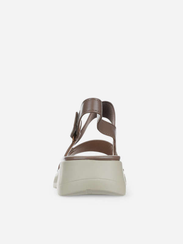 N80149 Braon-siva