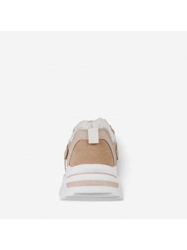 N81504 Braon-siva